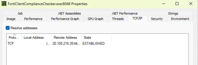 Process Explorer TCP view